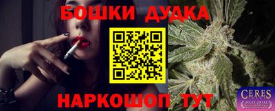 кокаин Кингисепп
