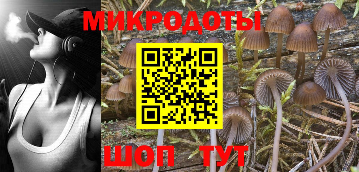 Галлюциногенные грибы мицелий Красноармейск
